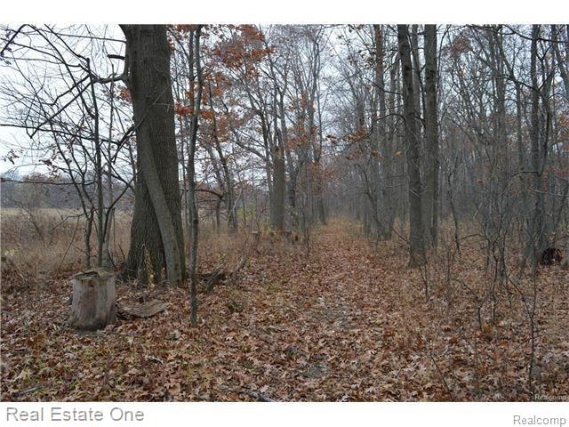 Par B Musson Road Howell, MI 48855 - Photo 15 of 28