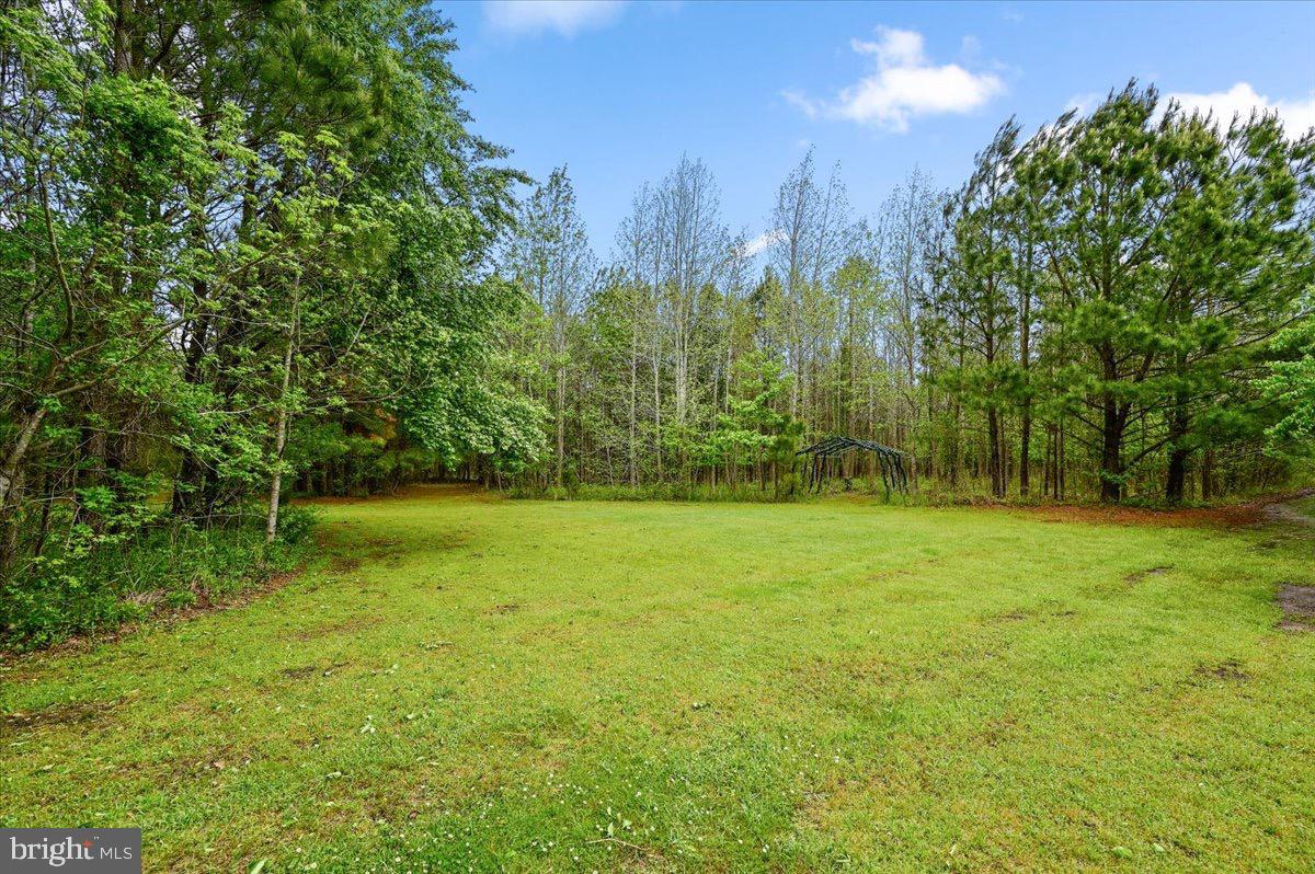 12209 Collins Road Bishopville, MD 21813 - Photo 93 of 103 Gallery Image 93
