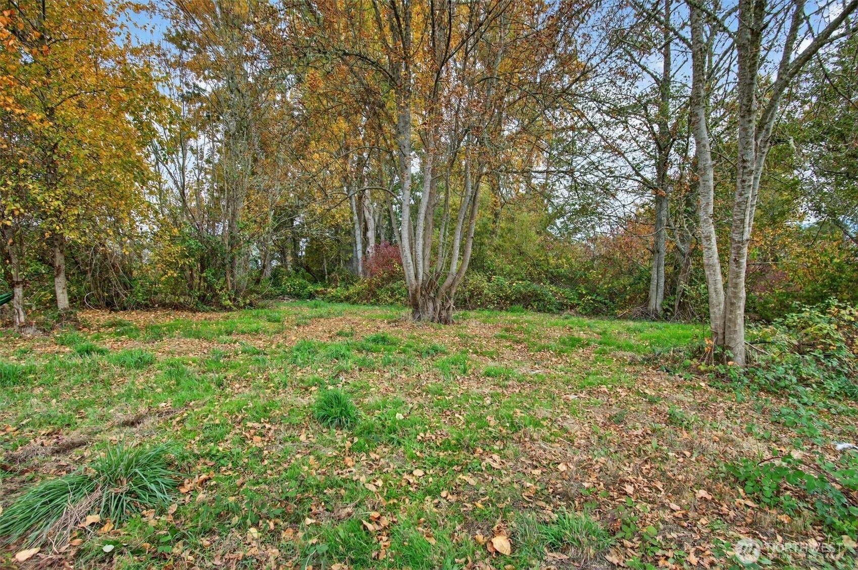 340 East Sunny Sands Road Cathlamet, WA 98612 - Photo 33 of 40