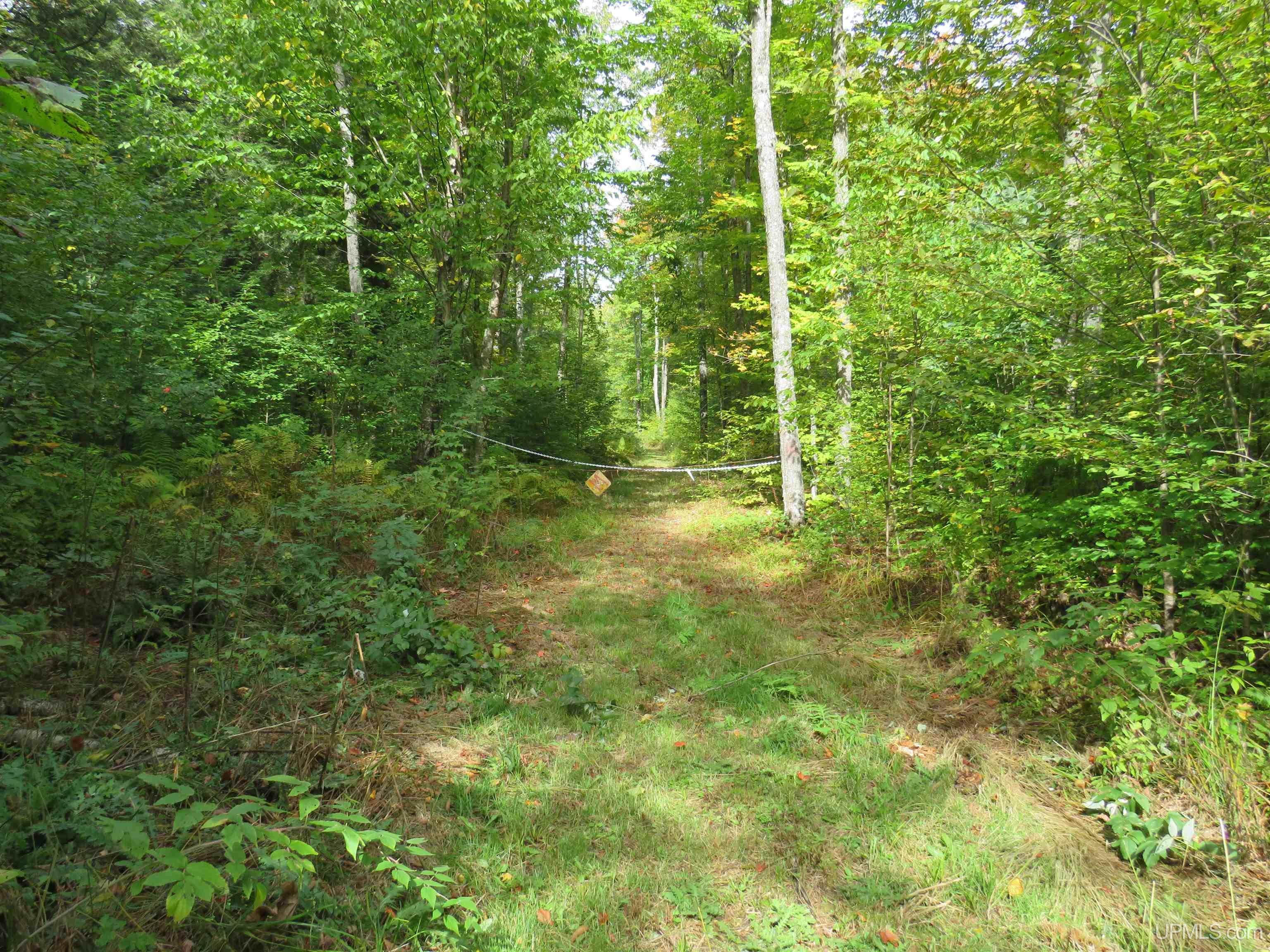 Off Net River Road Crystal Falls, MI 49920 - Photo 23 of 25 Gallery Image 23