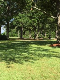450 Hi-Cotton Lane Springfield, SC 29146 - Photo 33 of 41