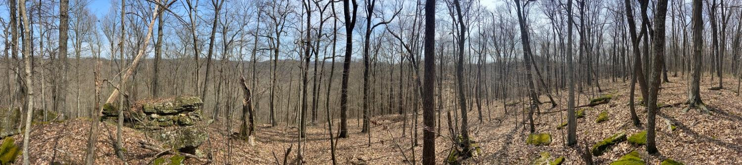 5308 Lower Cane Creek Road Stanton, KY 40380 - Photo 1 of 6 Photo 1