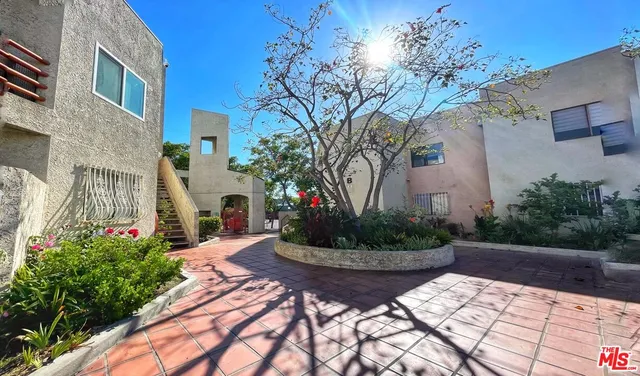 a view of a backyard with potted plants and large tree