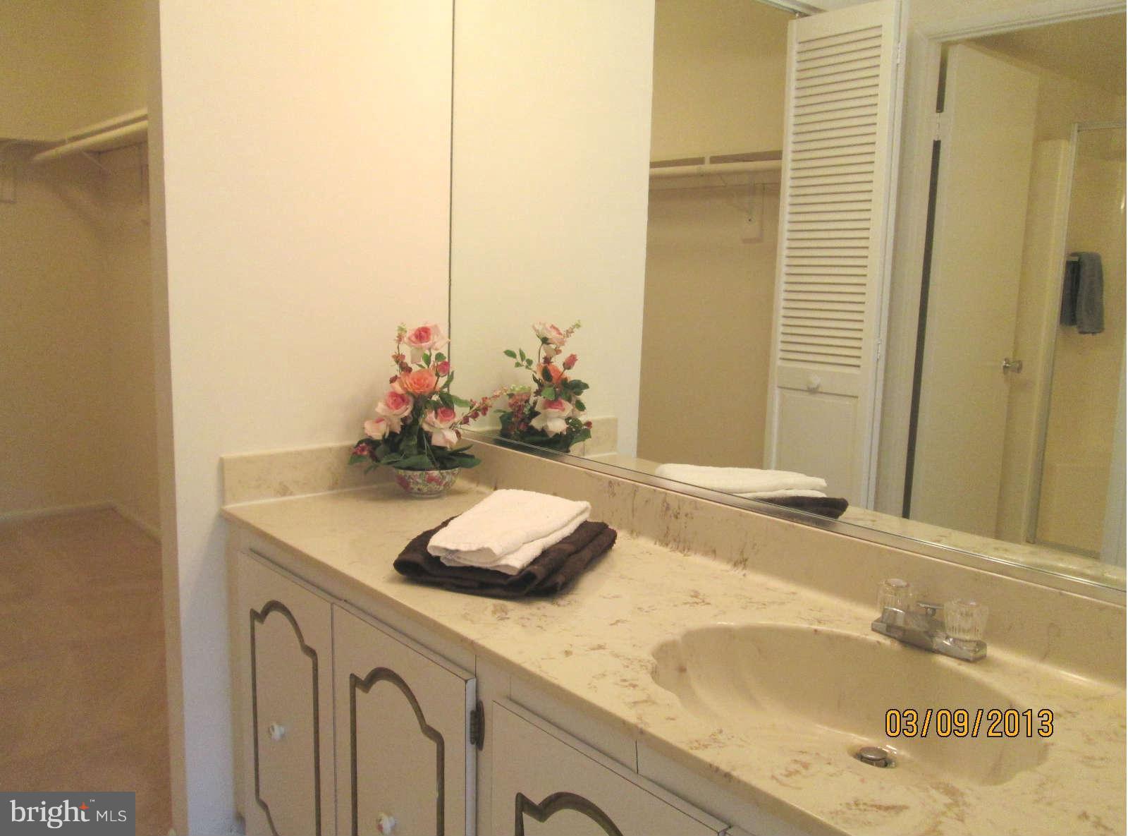 3128 Beckenham Court, Unit 250B Silver Spring, MD 20906 - Photo 11 of 16 Bath (Master) with separate vanity area