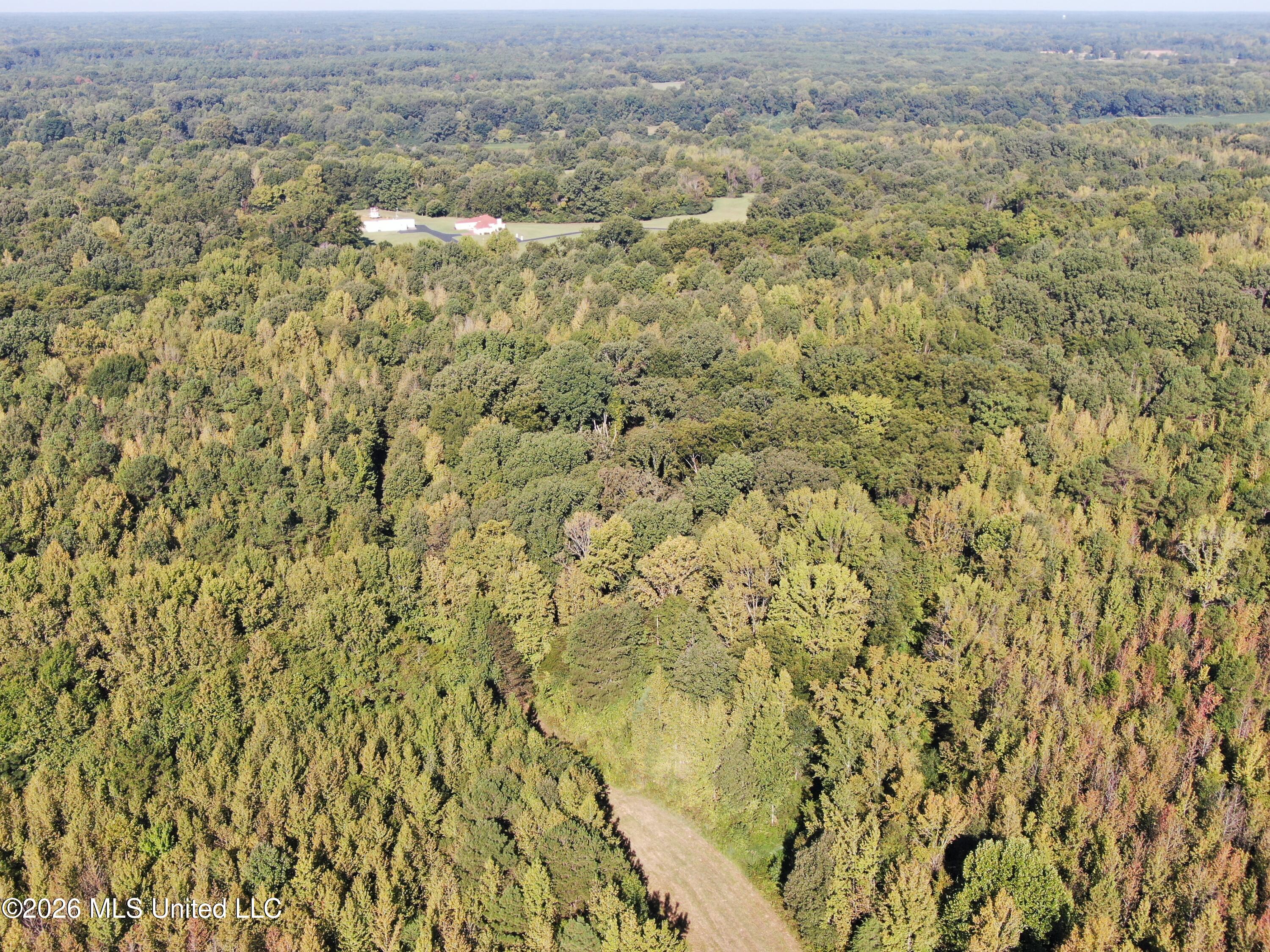 390 Old Panola Road Como, MS 38619 - Photo 30 of 71 DJI_0173