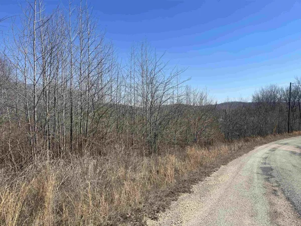 $31,000 | 3 David Brown Road, Waynesboro, TN 38485