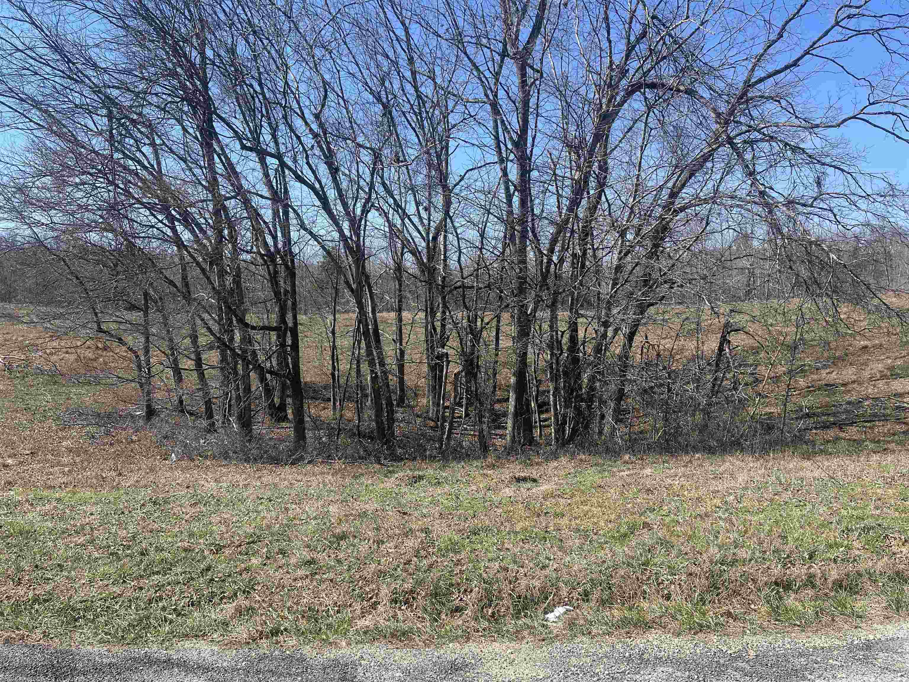 3 David Brown Road Waynesboro, TN 38485 - Photo 11 of 15