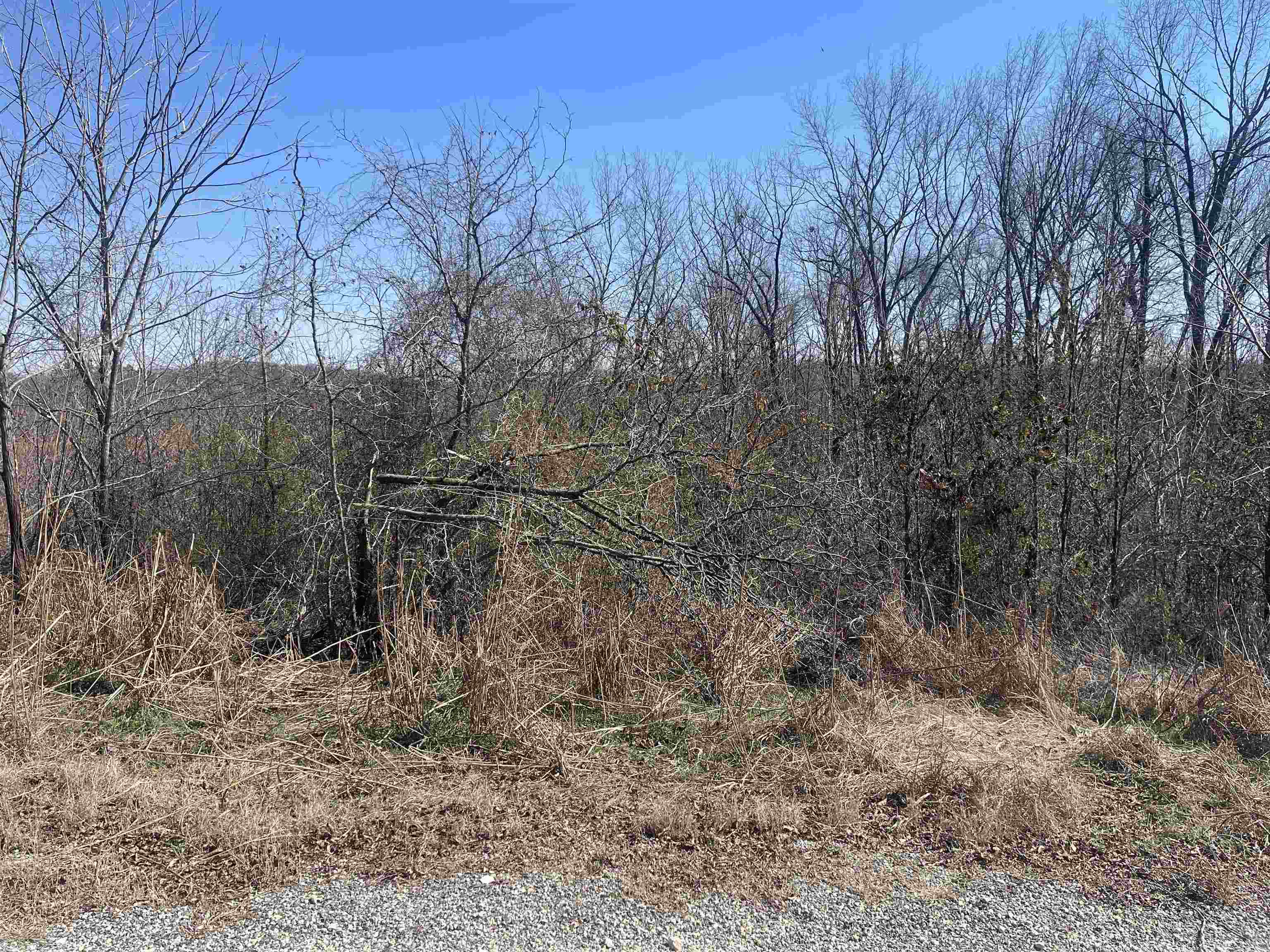 3 David Brown Road Waynesboro, TN 38485 - Photo 13 of 15