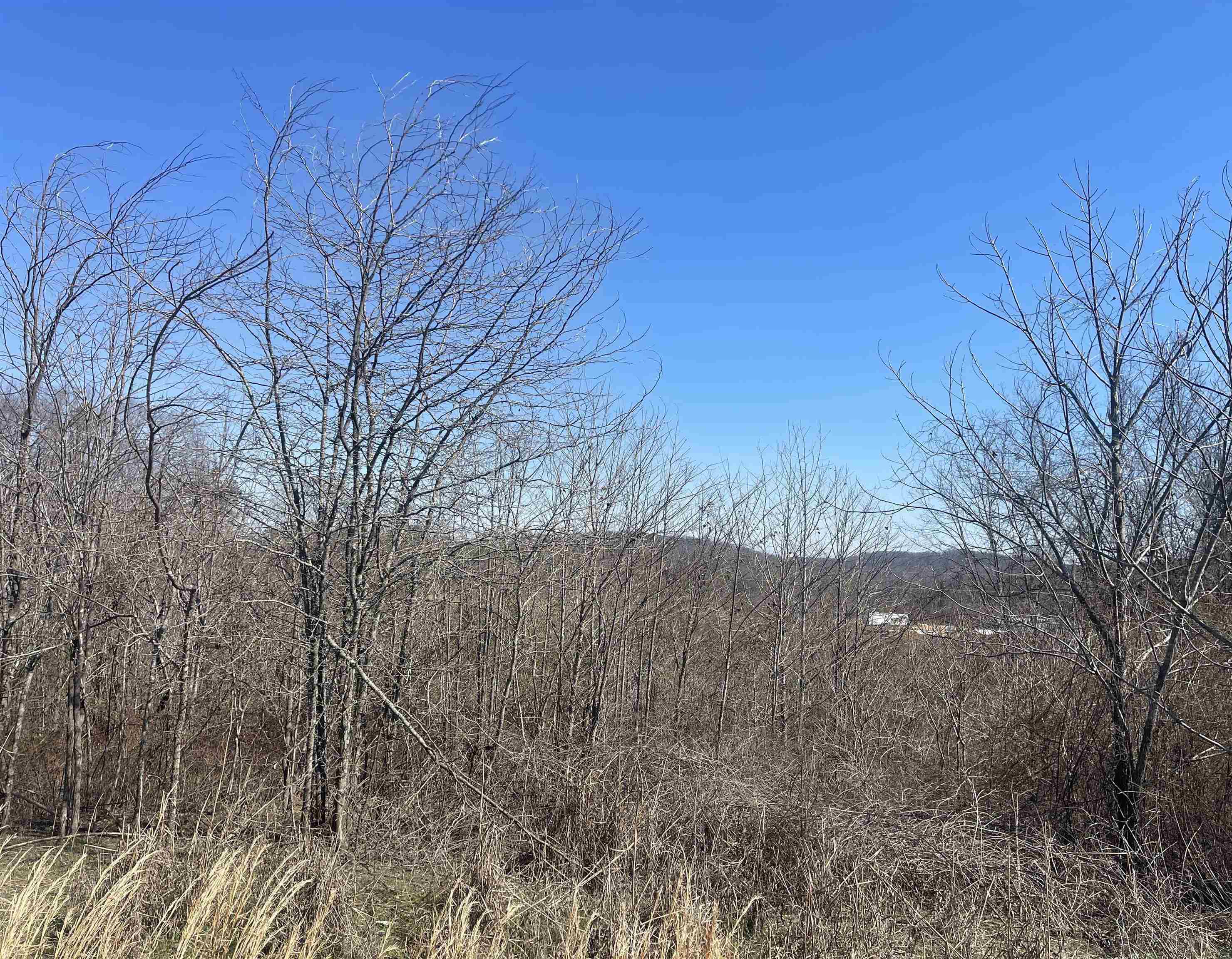 3 David Brown Road Waynesboro, TN 38485 - Photo 14 of 15