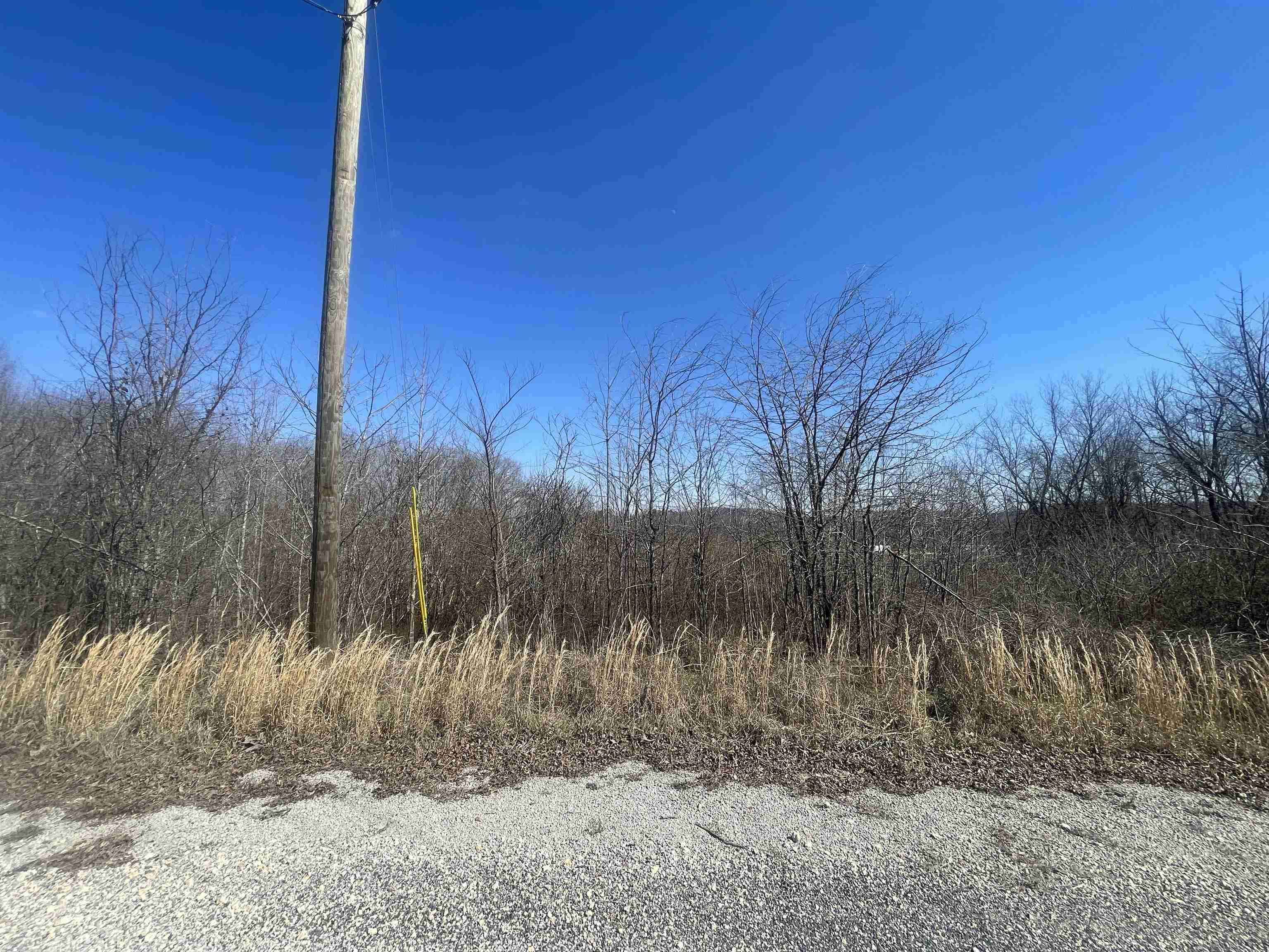 3 David Brown Road Waynesboro, TN 38485 - Photo 2 of 15