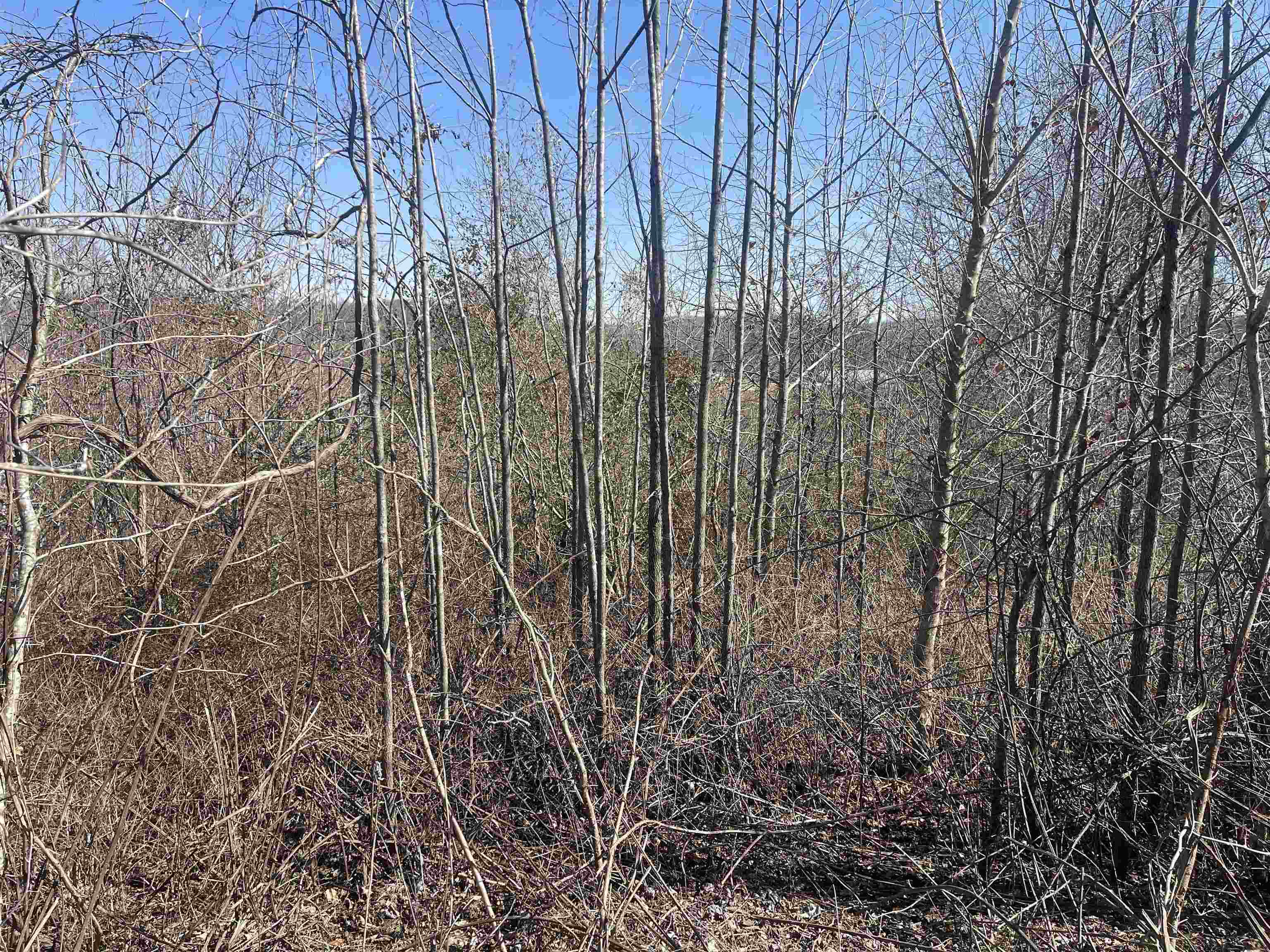 3 David Brown Road Waynesboro, TN 38485 - Photo 6 of 15