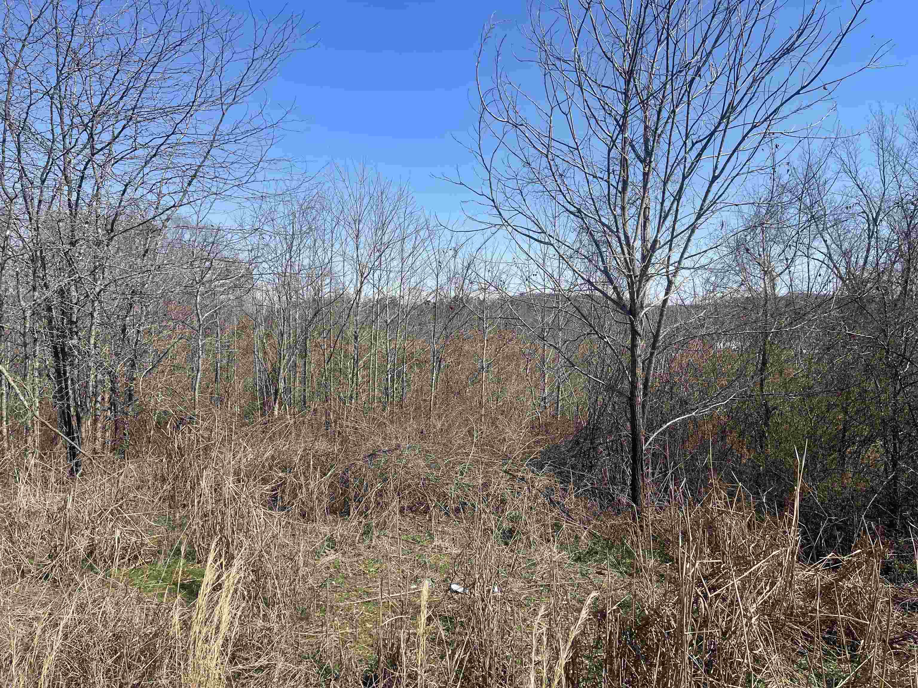 3 David Brown Road Waynesboro, TN 38485 - Photo 8 of 15