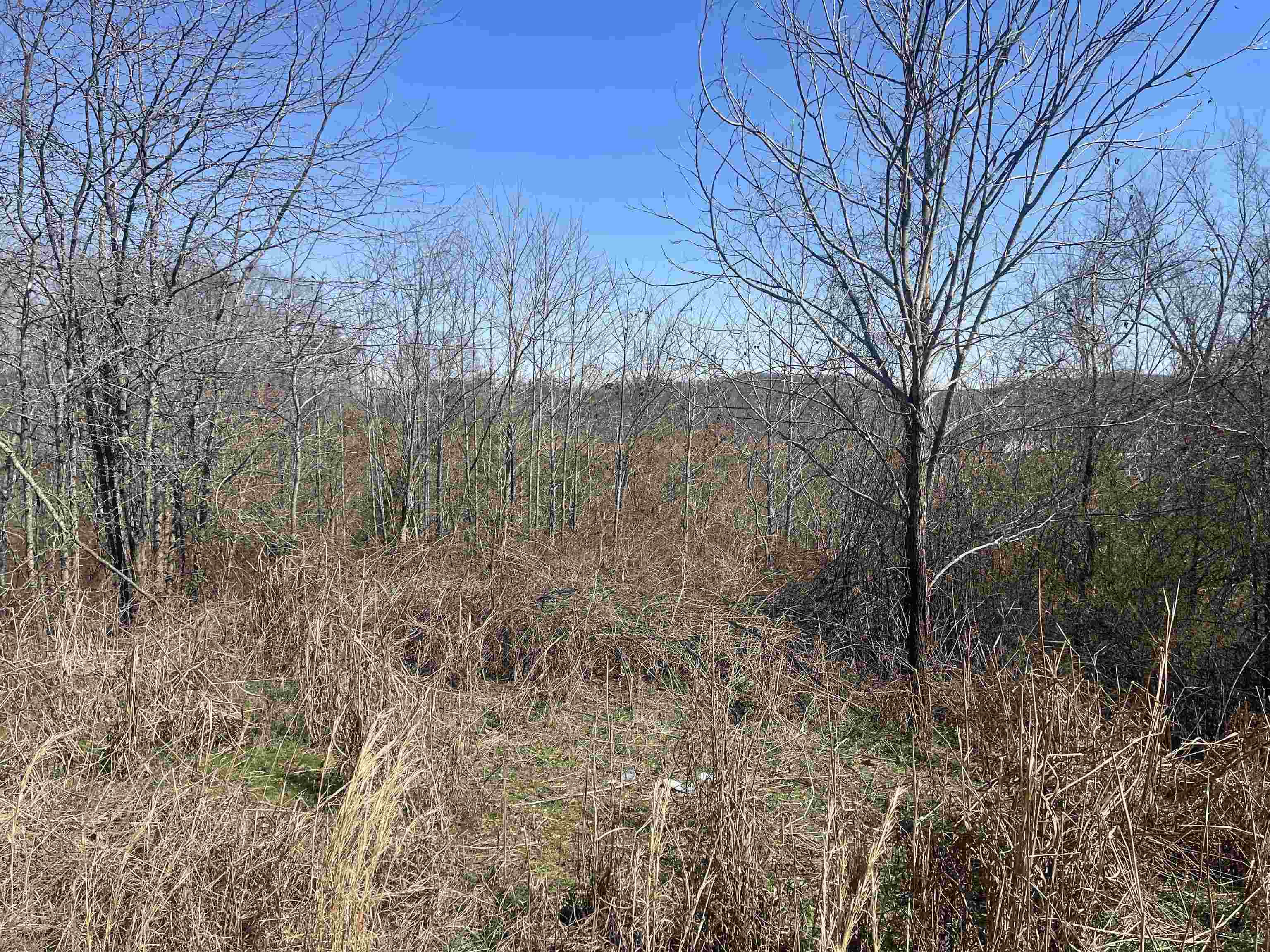 3 David Brown Road Waynesboro, TN 38485 - Photo 9 of 15