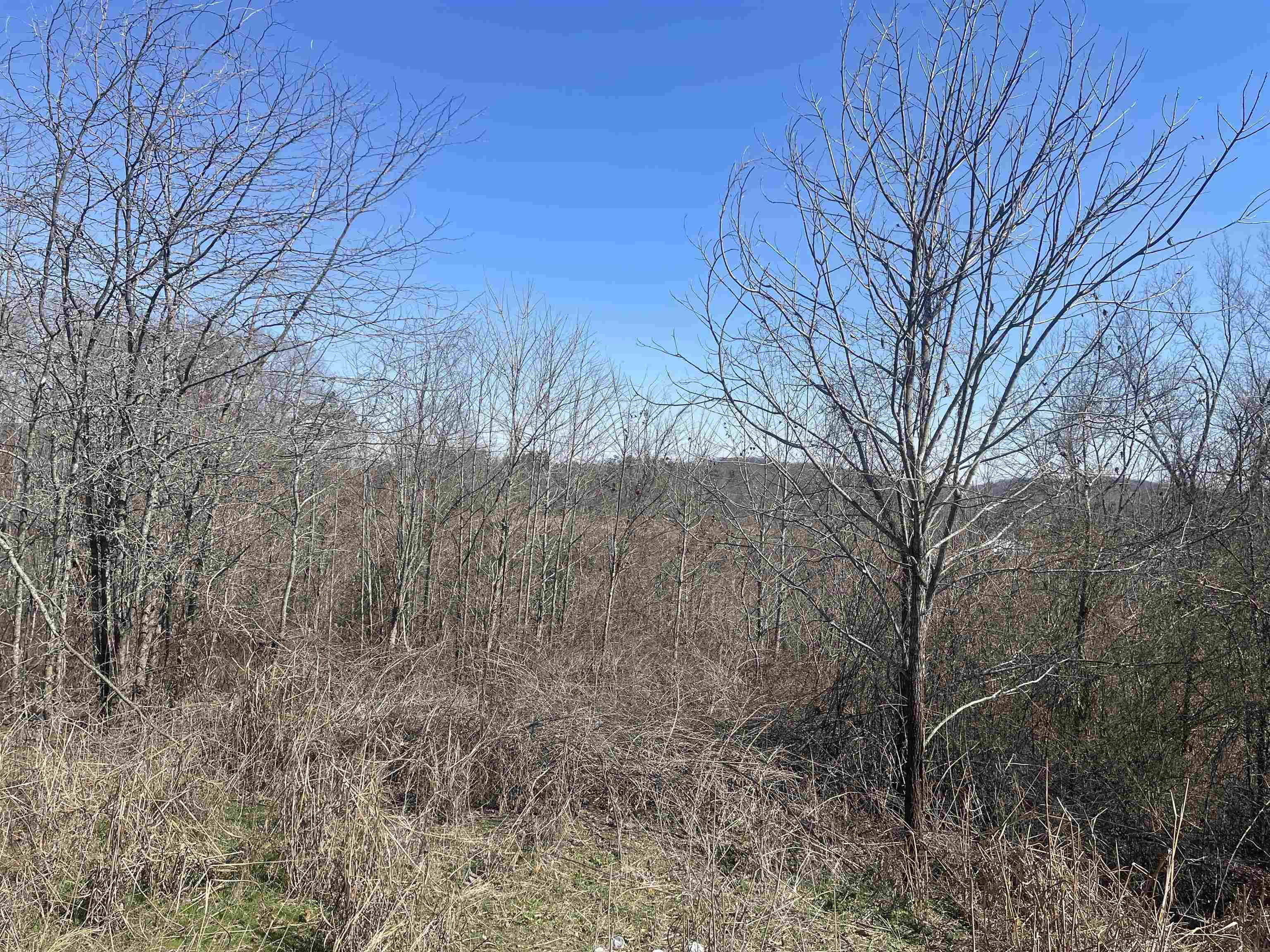 3 David Brown Road Waynesboro, TN 38485 - Photo 10 of 15