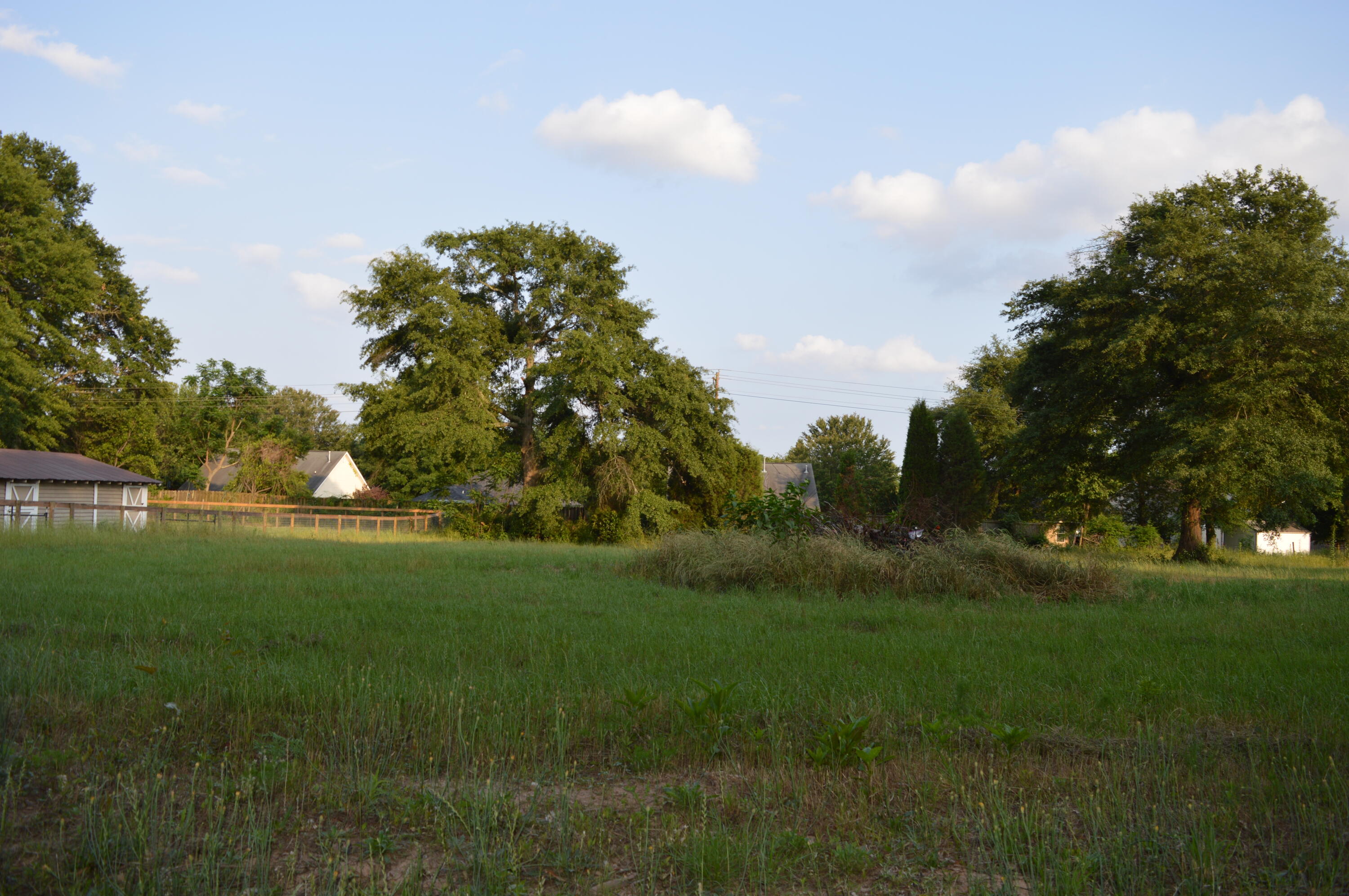 Lot 1 Coward Road Aiken, SC 29803 - Photo 2 of 2 Gallery Image 2