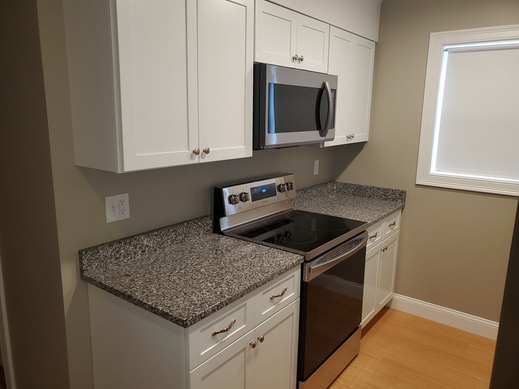 110 Lucerne Street Boston, MA 02124 - Photo 2 of 14