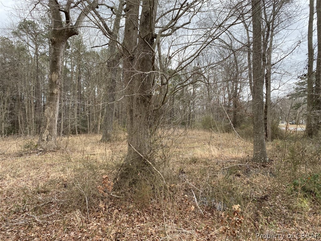0 Mosquito Point Road White Stone, VA 22578 - Photo 5 of 13