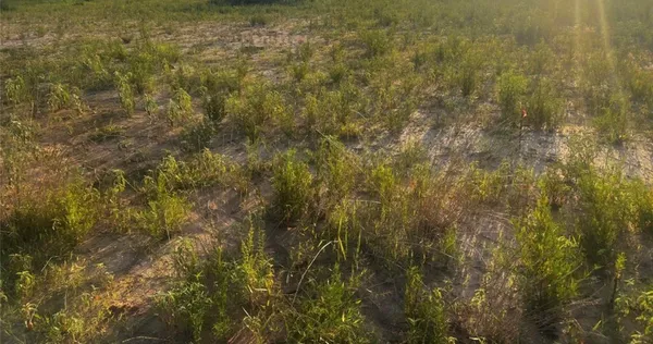 $85,000 | 0 Center Street, Waller, TX 77484