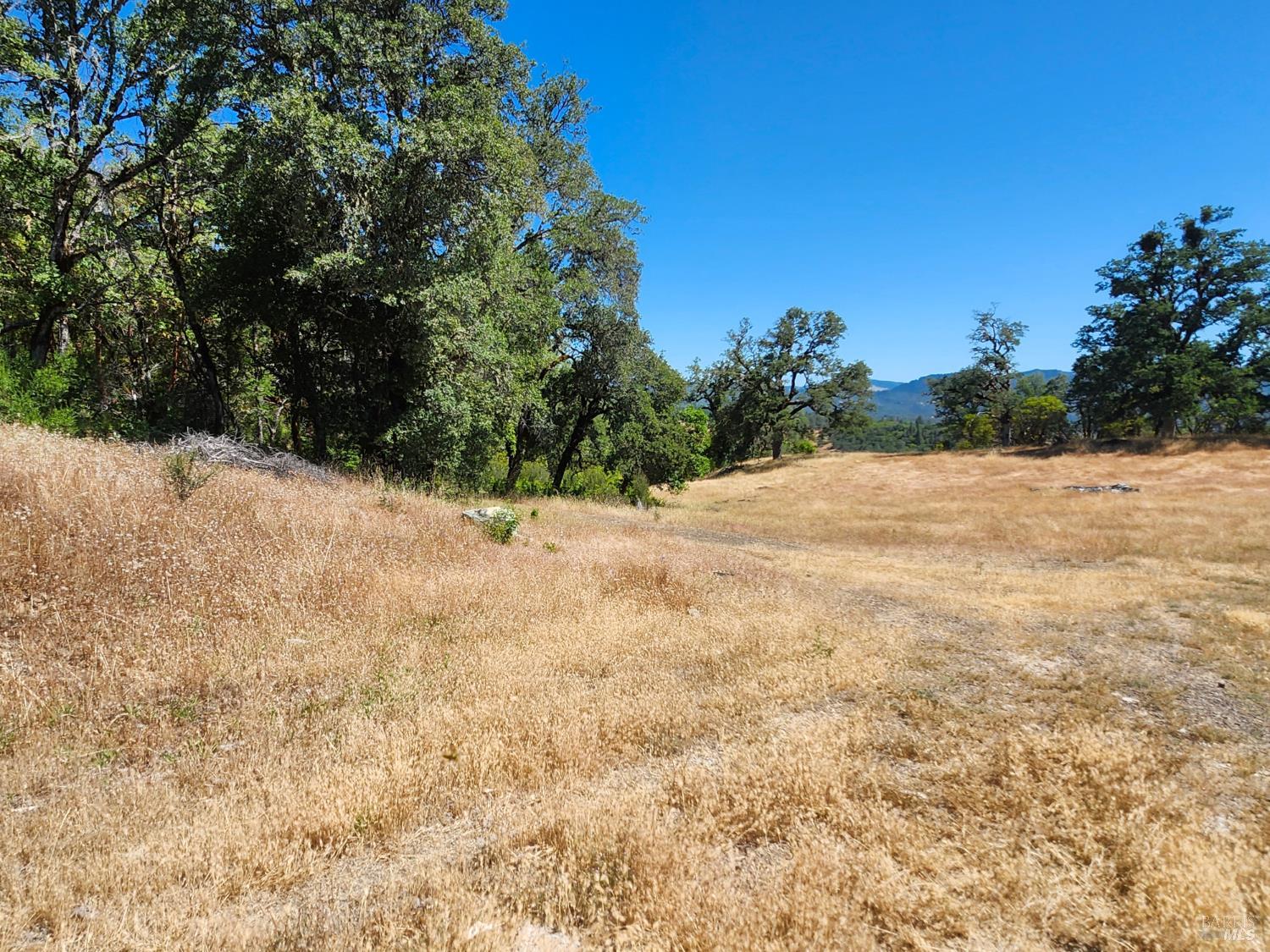 22551 Rifle Range Road Covelo, CA 95428 - Photo 21 of 24