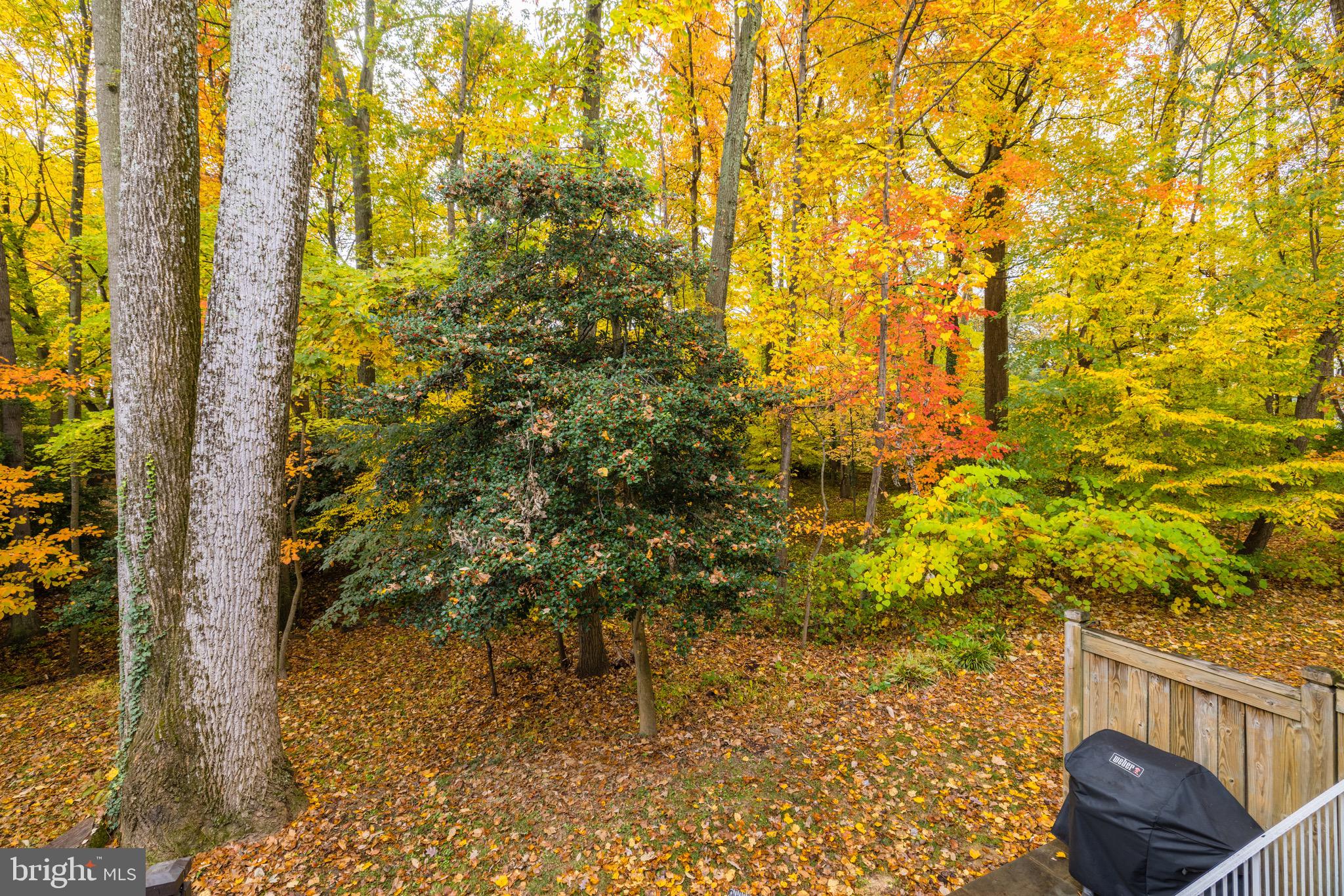 1226 Wild Hawthorn Way Reston, VA 20194 - Photo 41 of 45