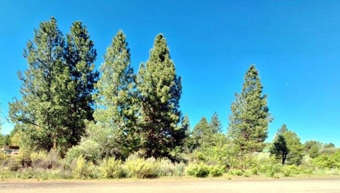 Shoreview Drive Chiloquin, OR 97624 - Photo 2 of 12 a view of a yard