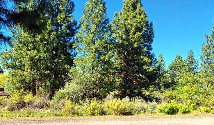 Shoreview Drive Chiloquin, OR 97624 - Photo 4 of 12 a view of a yard