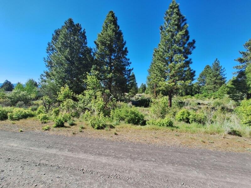 Shoreview Drive Chiloquin, OR 97624 - Photo 5 of 12 a view of a field with plants and trees