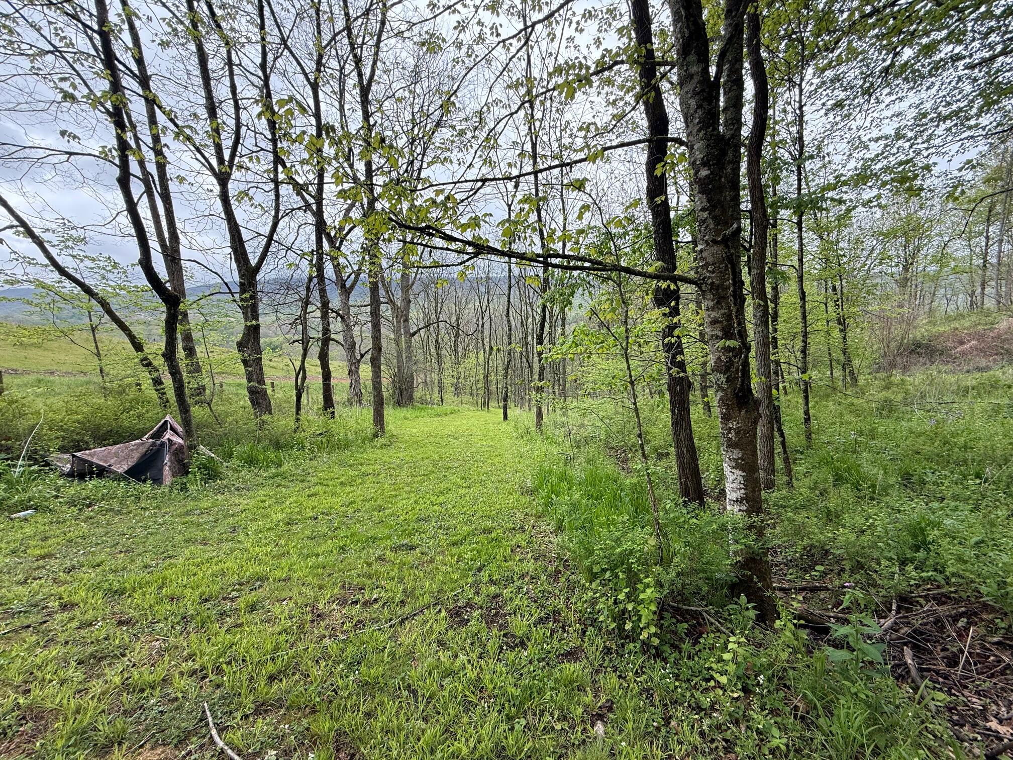 2468 Vly Ctr Road Monterey, VA 24465 - Photo 28 of 28 land views