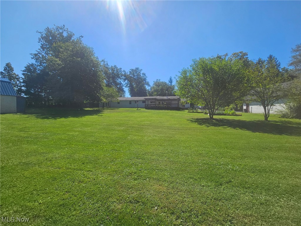 6171 Barrett Road Geneva, OH 44041 - Photo 9 of 38 View of green lawn