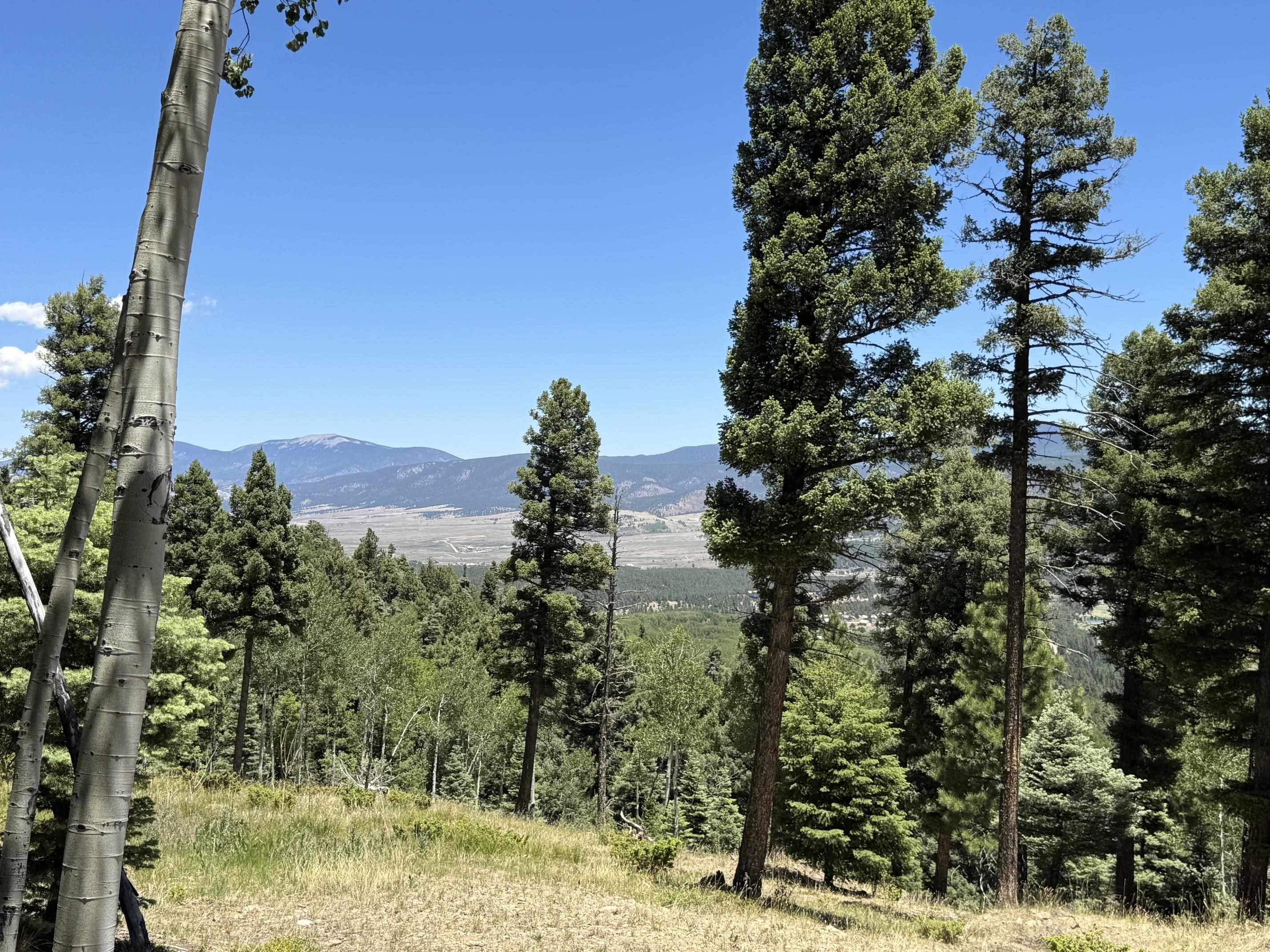 Lot 106 Zia Road Angel Fire, NM 87710 - Photo 18 of 23 Gallery Image 18