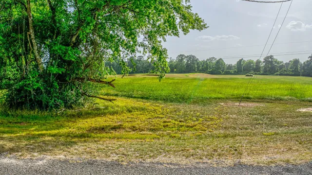 $7,500 | Tbd Williamsburg Street, Trinity, TX 75862