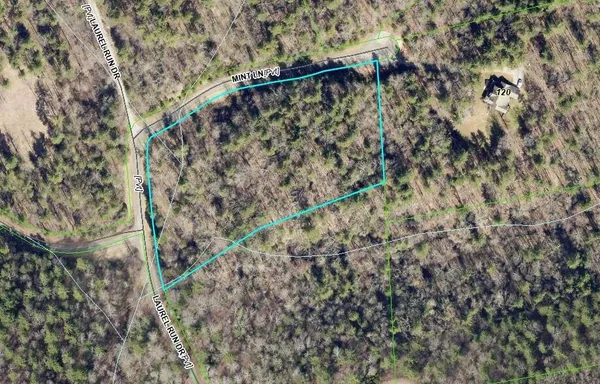a view of a yard with a trees