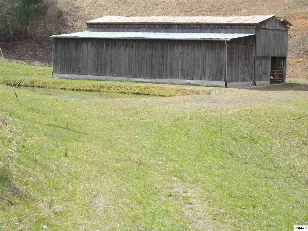 240 Blue Mill Road Del Rio, TN 37727 - Photo 1 of 1 Gallery Image 1