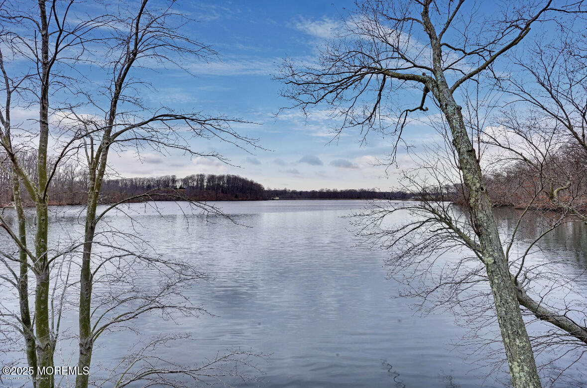 207 Lakeside Avenue Colts Neck, NJ 07722 - Photo 5 of 17 a view of a yard with a tree