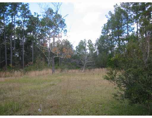 11913 Sugar Ridge Road Vancleave, MS 39565 - Photo 1 of 7 Primary Photo