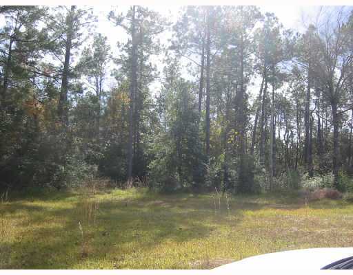 11913 Sugar Ridge Road Vancleave, MS 39565 - Photo 5 of 7 Additional Photo