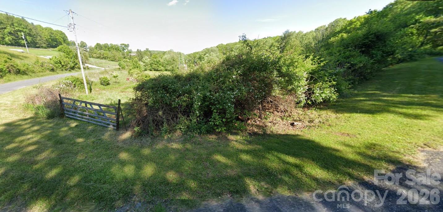 0 Old Dale Road Spruce Pine, NC 28777 - Photo 3 of 4 a view of a yard with plants and large trees