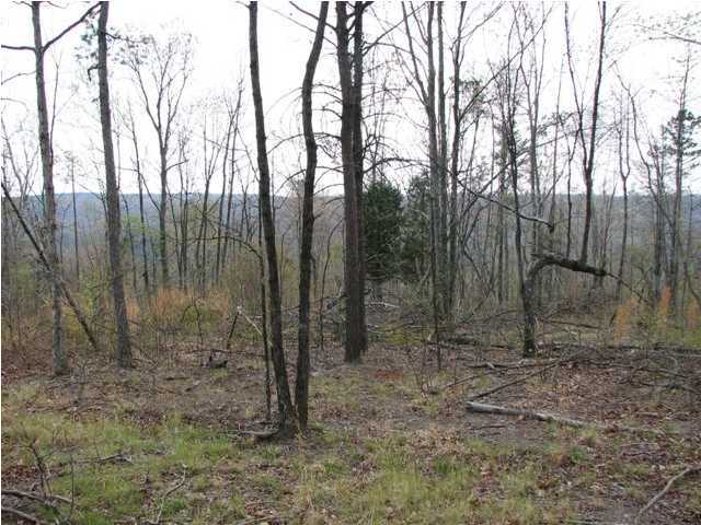138 John Henry Lewis Road Dunlap, TN 37327 - Photo 6 of 7 Additional Photo