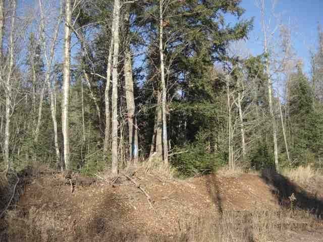 Tbd Caroline Lake Road Upson, WI 54565 - Photo 3 of 12 Gallery Image 3