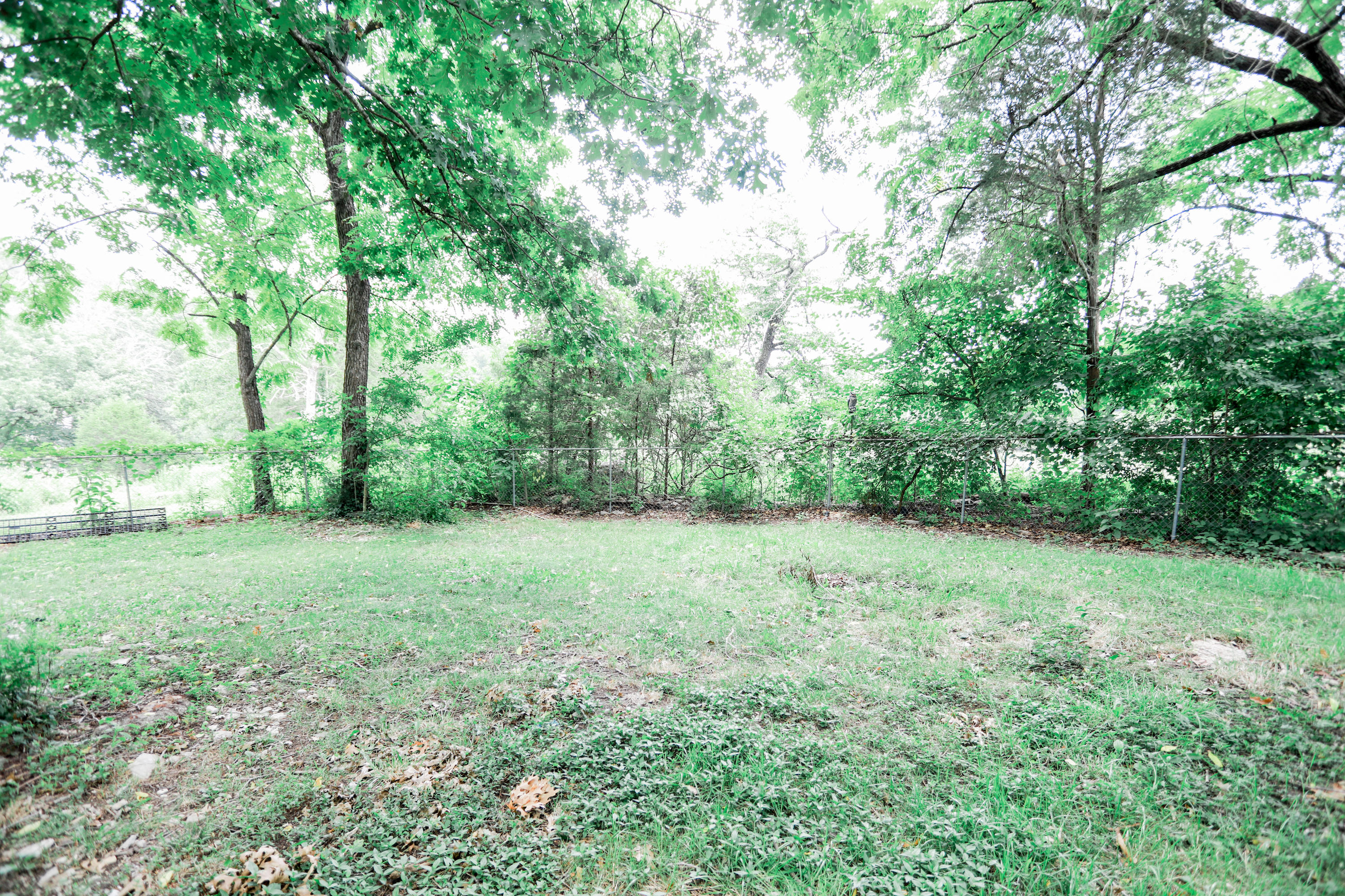 450 Cross Valley Road La Follette, TN 37766 - Photo 29 of 40 5R9A5980