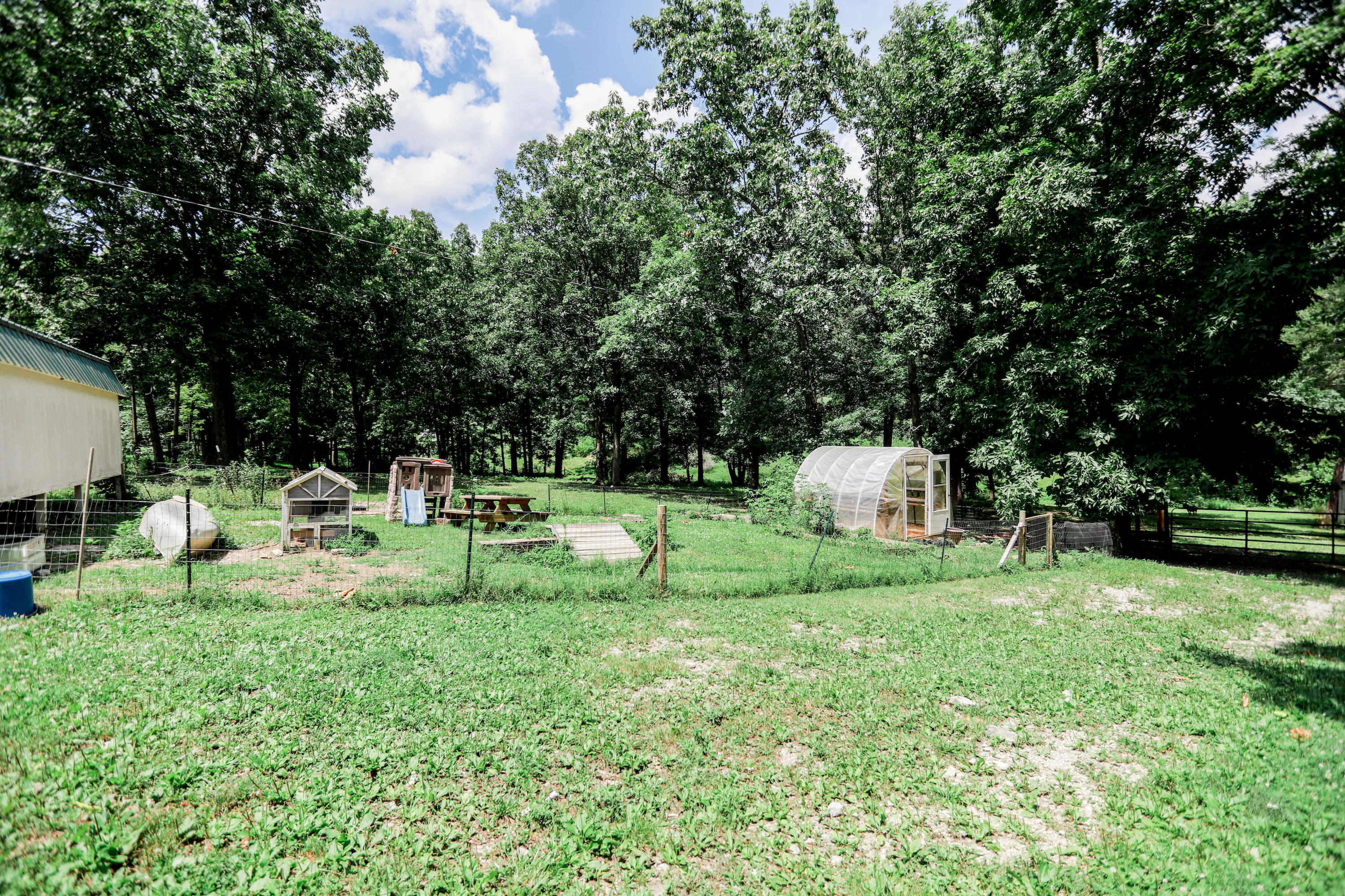 450 Cross Valley Road La Follette, TN 37766 - Photo 38 of 40 5R9A5997