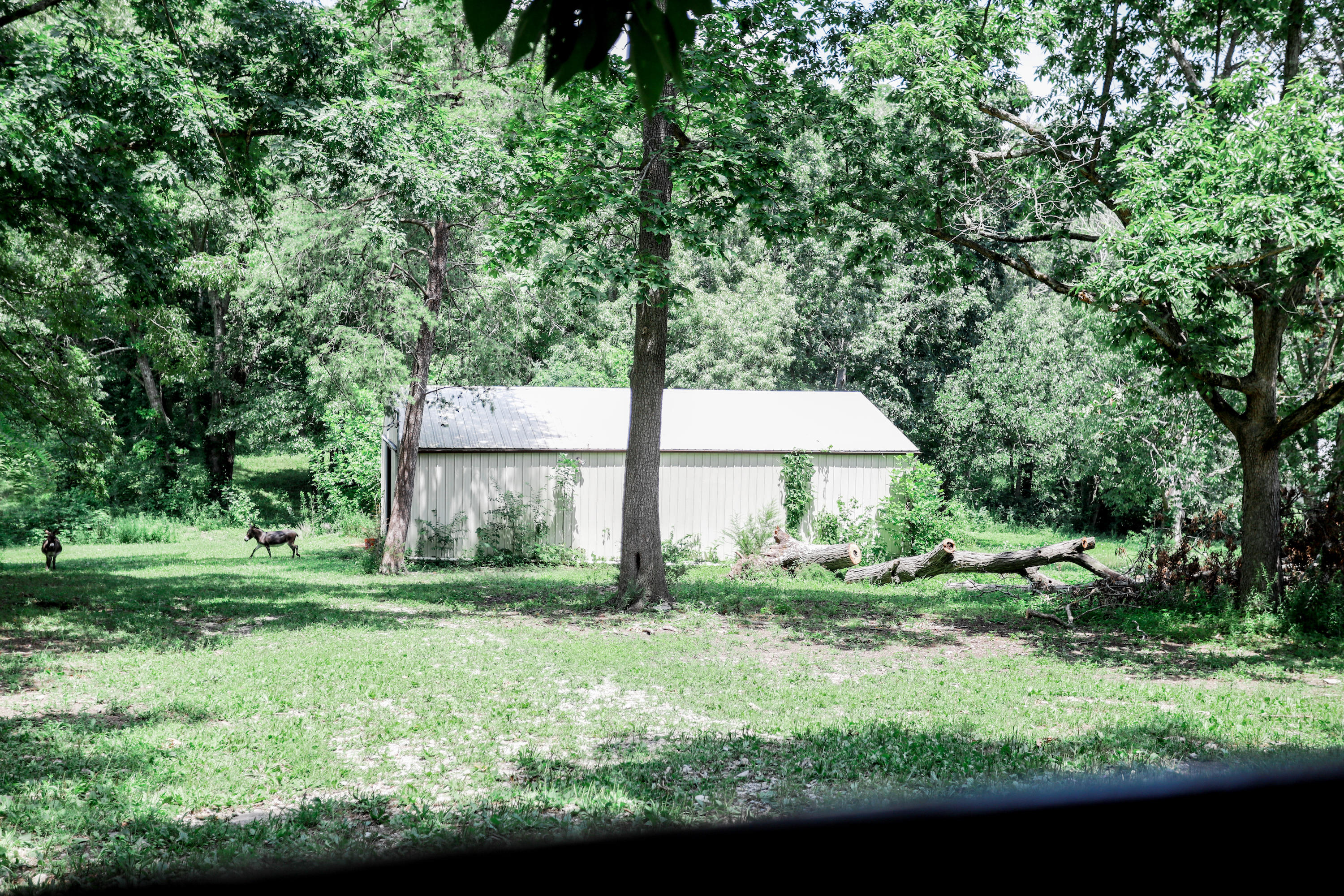 450 Cross Valley Road La Follette, TN 37766 - Photo 39 of 40 5R9A5999