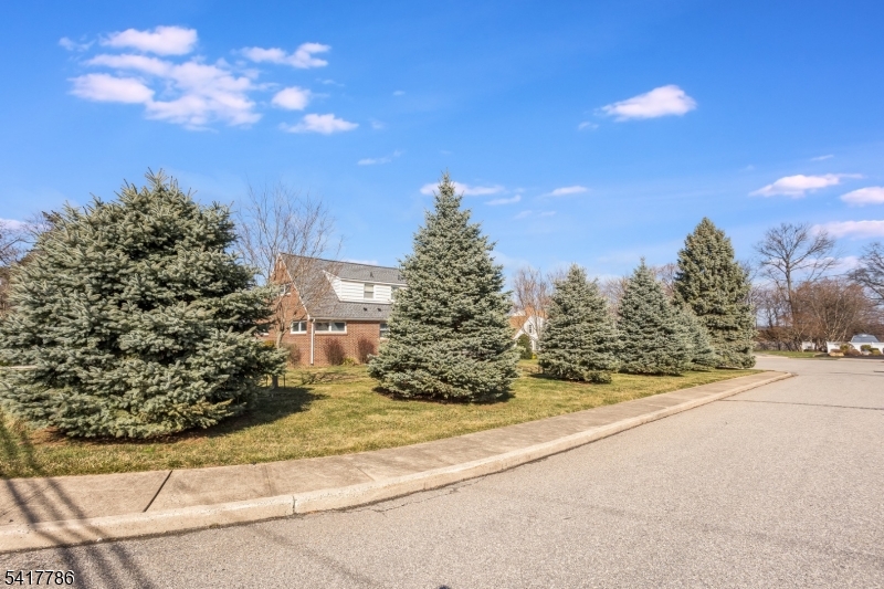 10 Torlish Gate Raritan, NJ 08869 - Photo 36 of 40 a view of a yard
