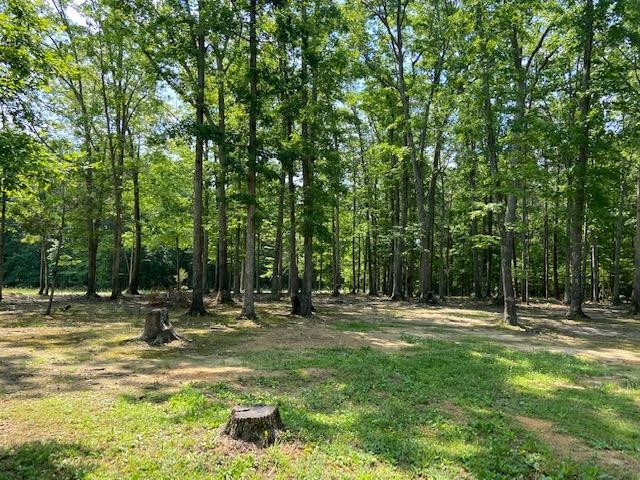 2311 Harris Road Rougemont, NC 27572 - Photo 16 of 21 Photo 16