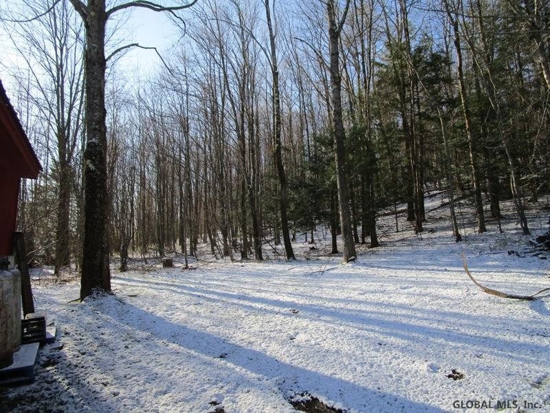 0 Joe Chamberlain Road Cherry Valley, NY 13320 - Photo 11 of 12 Photo 11