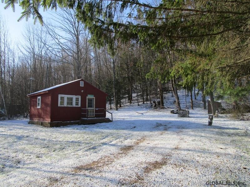 0 Joe Chamberlain Road Cherry Valley, NY 13320 - Photo 3 of 12 Photo 3