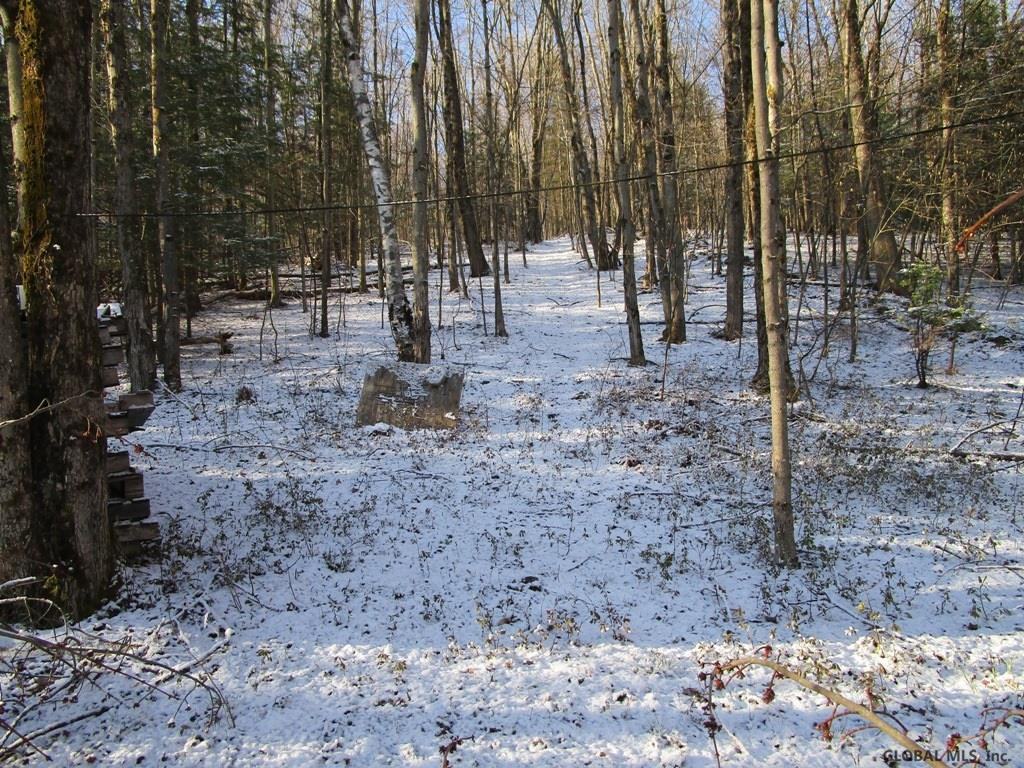 0 Joe Chamberlain Road Cherry Valley, NY 13320 - Photo 4 of 12 Photo 4