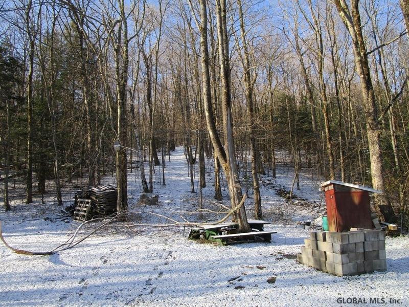 0 Joe Chamberlain Road Cherry Valley, NY 13320 - Photo 10 of 12 Photo 10