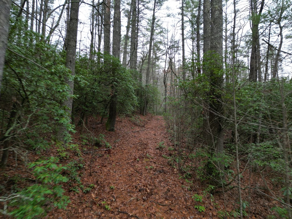 Tbd Dillard Road Murphy, NC 28906 - Photo 11 of 21
