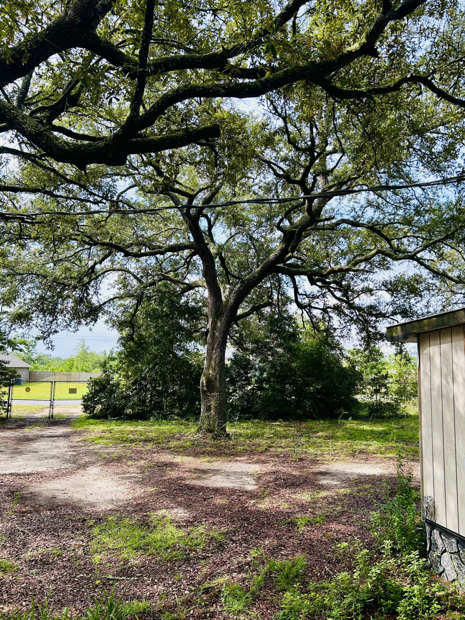 5123 Nichols Creek Road Milton, FL 32583 - Photo 5 of 9 IMG_20250823_210456